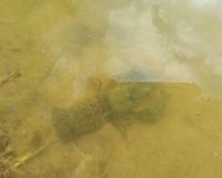 20140920_130921.jpg