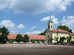 Kladruby nad Labem